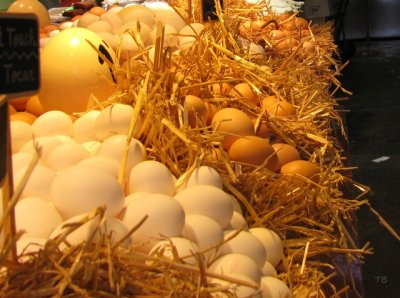 Il sogno nel bagaglio