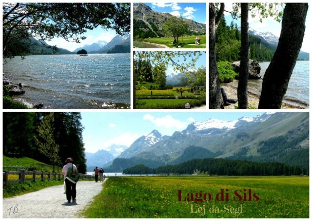 Sils-Svizzera-aria-photo-by-Tiziana-Bergantin-B503