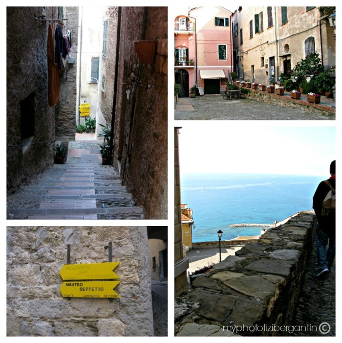 Cervo-viuzze-foto-di-Tiziana-Bergantin-A404