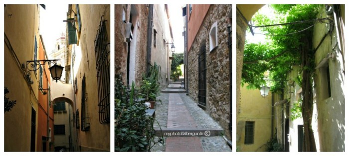 Cervo-scorci-3-photo-by-Tiziana-Bergantin-A403