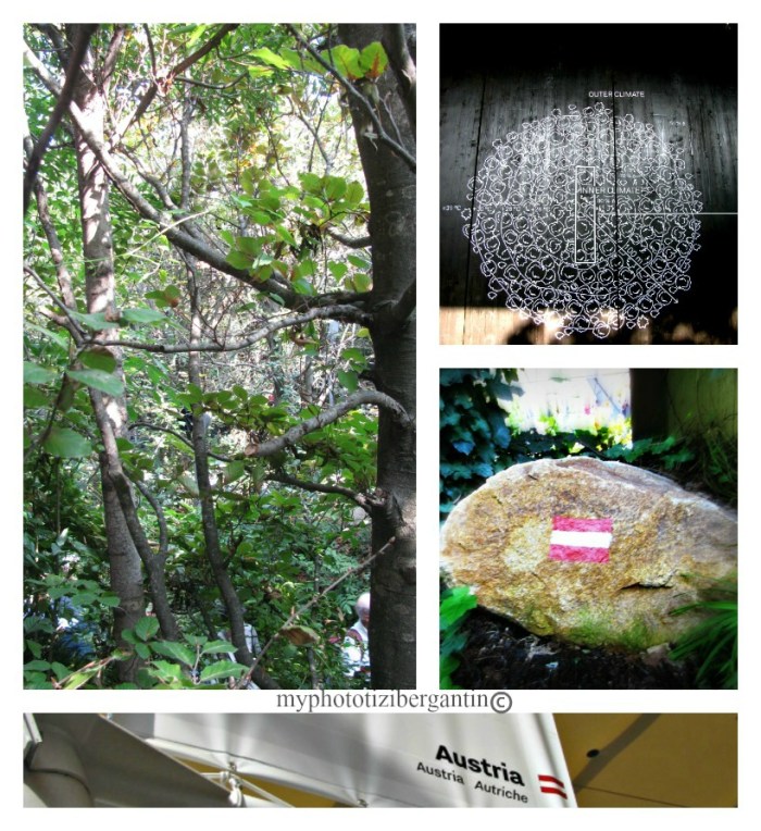 Expo Milano 2015 Austria expo-2015-Austria-7-photo-by-Tiziana-Bergantin-A207