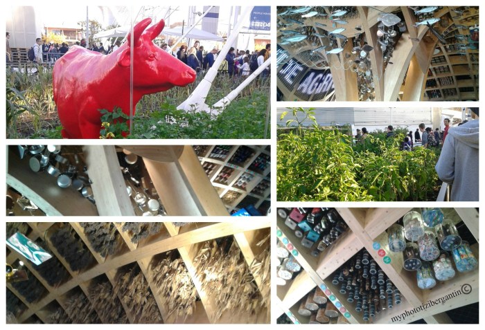 Expo Milano 2015 Francia expo-2015-Francia-3-photo-by-Tiziana-Bergantin-A203