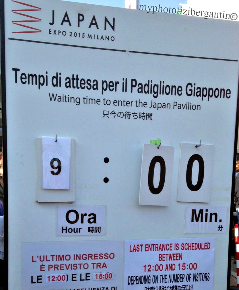 expo-2015-Japan-1-photo-by-Tiziana-Bergantin-A201