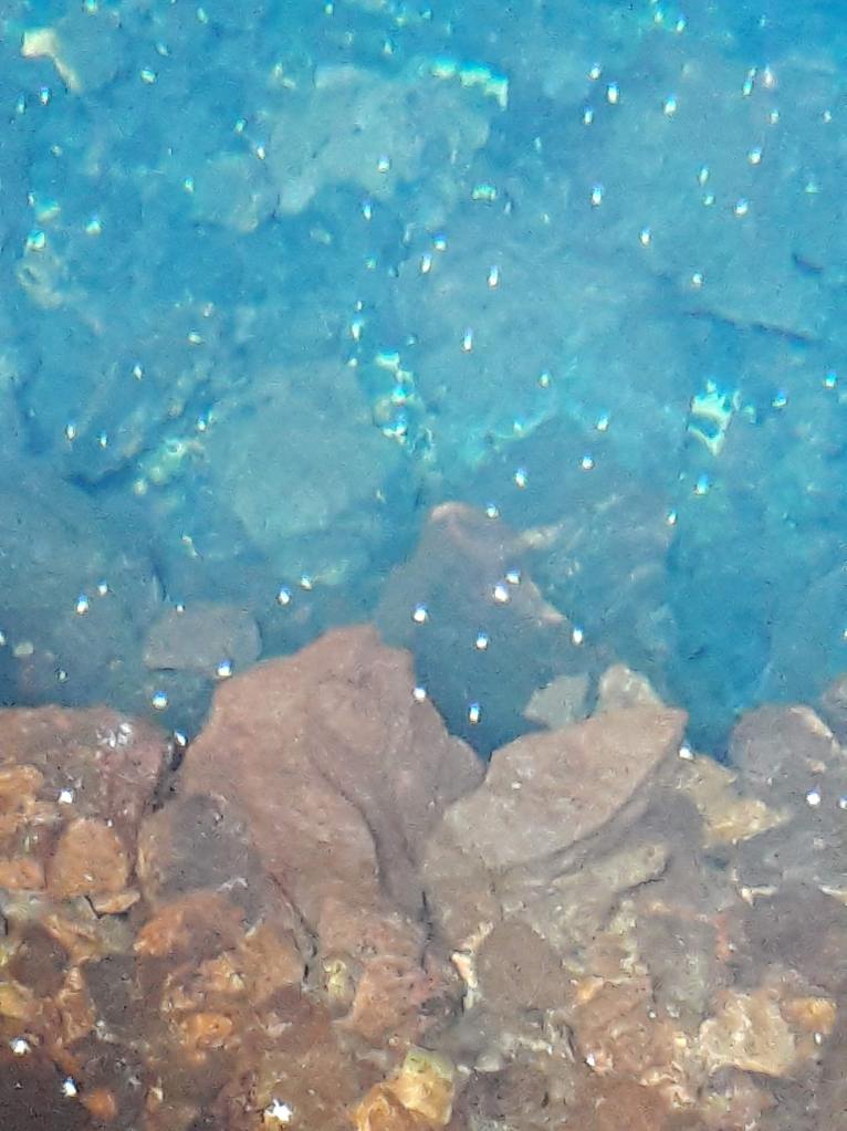 Lanzarote Jameos del Agua 3 TB