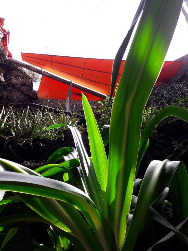 Lanzarote Jameos del Agua 6 TB